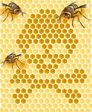 Höstmatning av bin: snabbt, effektivt, precis i tid