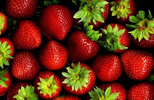 allergisk mot jordgubbar i ett barn