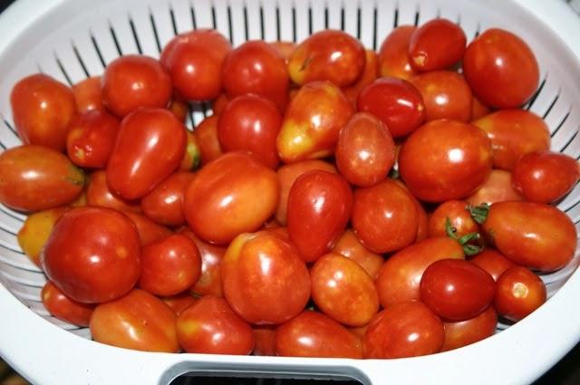 hur man plockar tomater i en burk