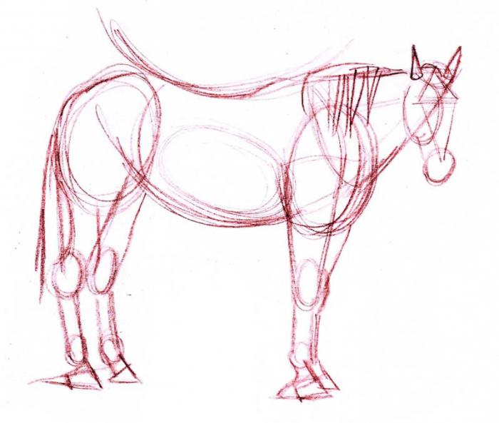 Hur man ritar en häst