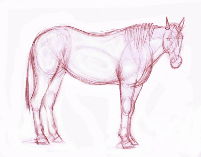 Hur man ritar en häst i penna