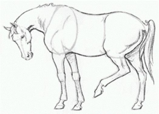 Hur man ritar en häst i en bils era