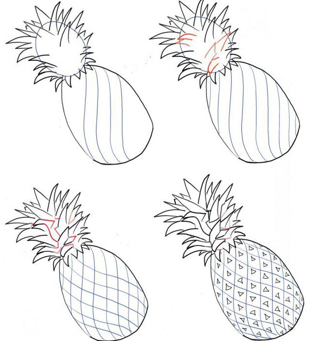 Detaljer om hur man ritar ananas