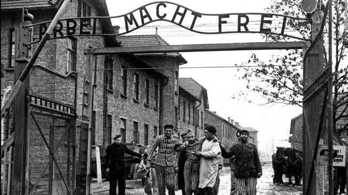 Koncentrationsläger Auschwitz: experiment på kvinnor. Josef Mengele. Auschwitz historia