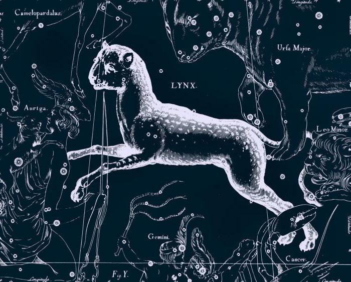 Constellation of Lynx: beskrivning, historia, intressanta objekt